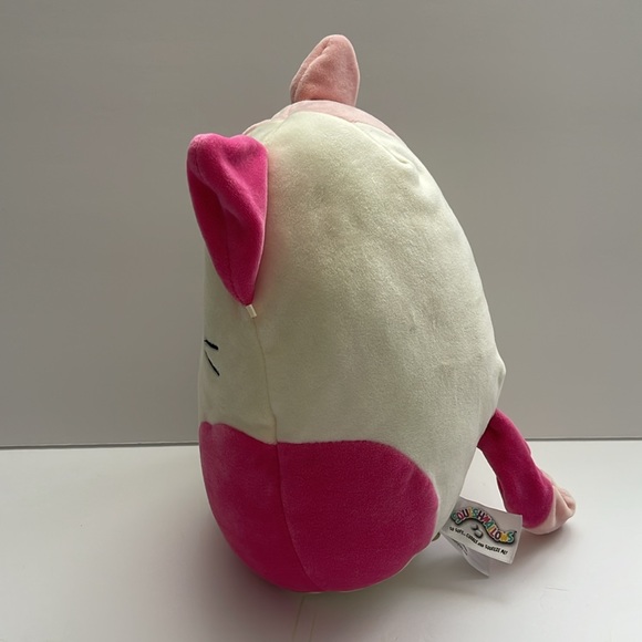 Squishmallows Roxy Pink Heart Cat Valentine Plush 10” - Picture 3 of 6
